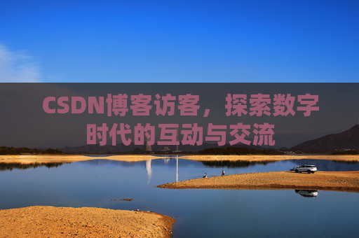 CSDN博客访客，探索数字时代的互动与交流