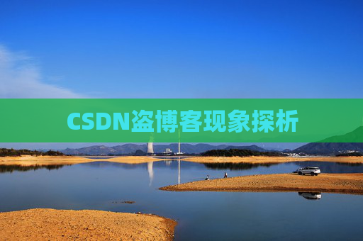 CSDN盗博客现象探析 CSDN盗博客现象探析